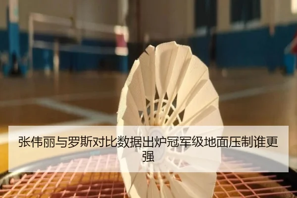 张伟丽与罗斯对比数据出炉冠军级地面压制谁更强