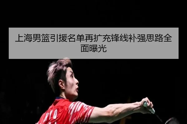 上海男篮引援名单再扩充锋线补强思路全面曝光